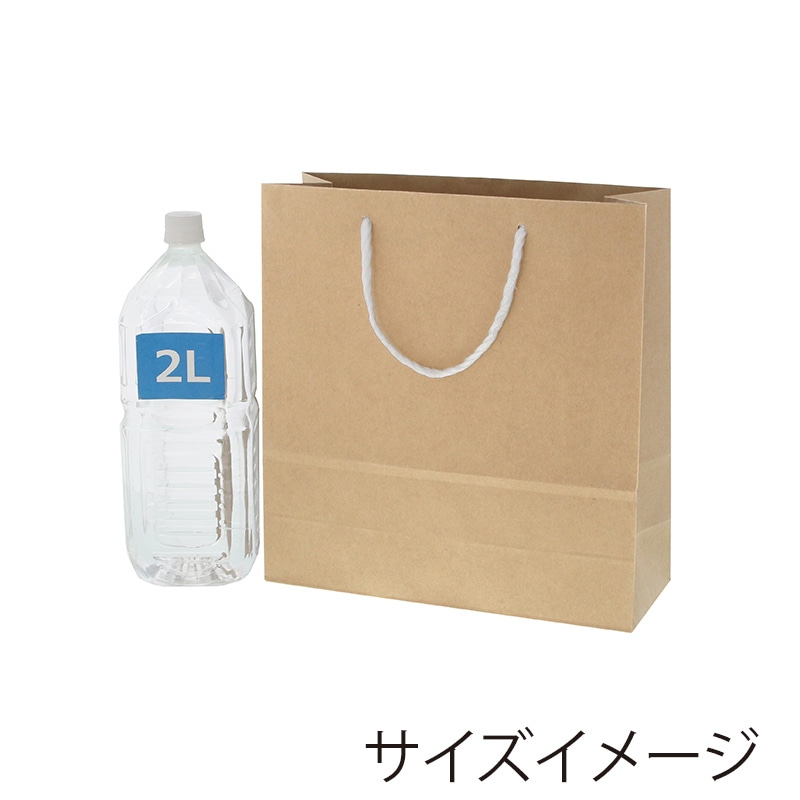 HEIKO 紙袋 T型チャームバッグ 3才 未晒無地 50枚/袋