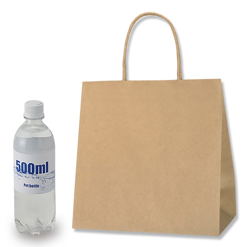 HEIKO 紙袋 スムースバッグ 26-16 未晒無地 25枚/袋