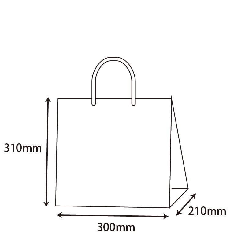 HEIKO 紙袋 T型チャームバッグ W2 雲竜 赤 50枚/袋