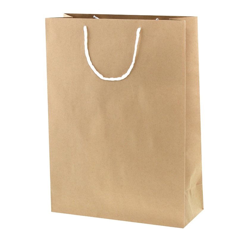 HEIKO 紙袋 T型チャームバッグ 大判 未晒無地 50枚/袋