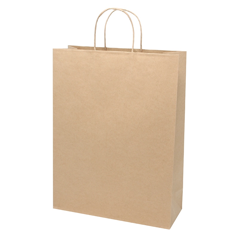 HEIKO 紙袋 スムースバッグ カスタム判 未晒無地 25枚/袋