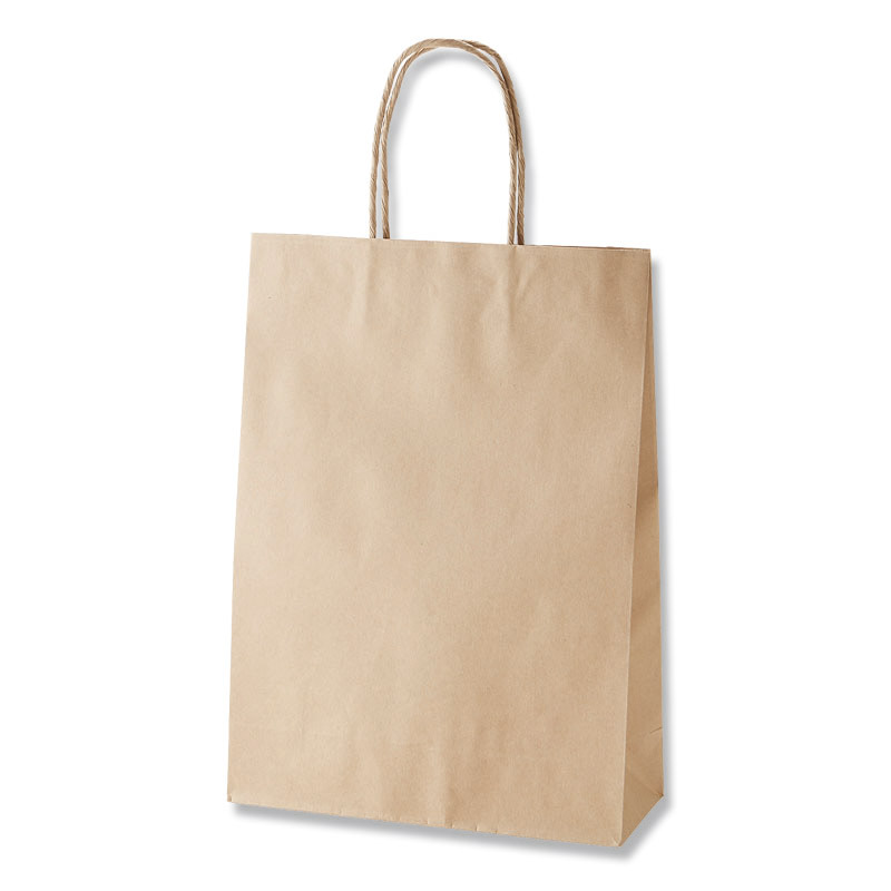 HEIKO 紙袋 スムースバッグ S-100 未晒無地 25枚/袋