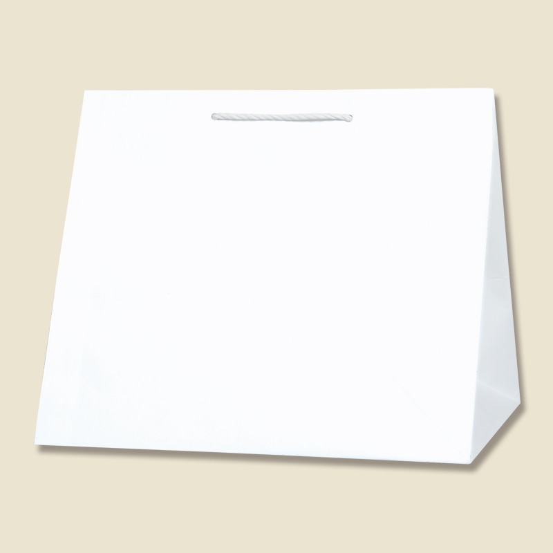 HEIKO 紙袋 T型チャームバッグ W3 晒白無地 10 枚/袋