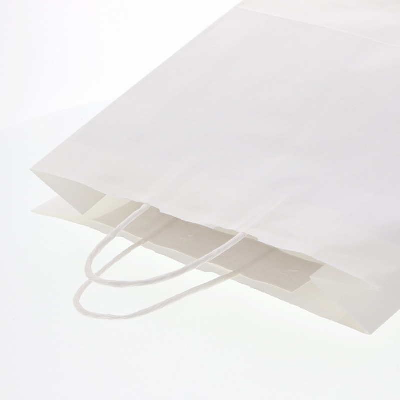 HEIKO 紙袋 25チャームバッグ 25CB 2才 白無地 50枚/袋 003222800 包装