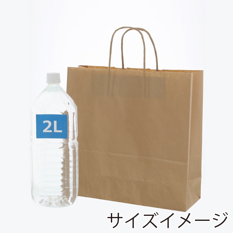HEIKO 紙袋 25チャームバッグ 25CB 3才 未晒無地 50枚/袋