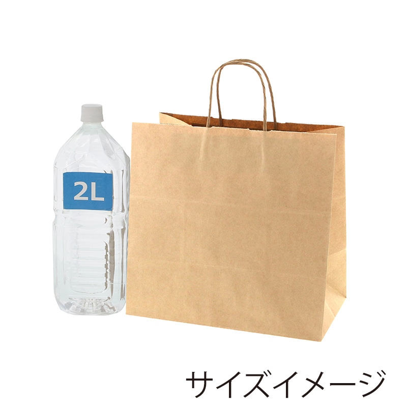 HEIKO 手提げ紙袋 25チャームバッグ 30-3 未晒無地 50枚/袋