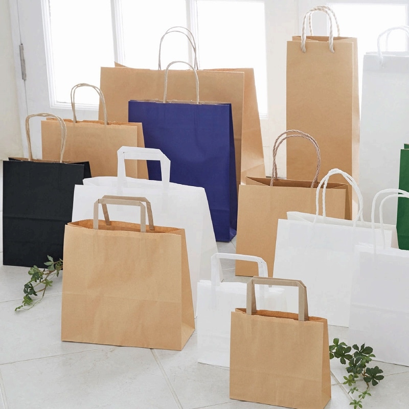 HEIKO 紙袋 H25チャームバッグ 20-1(平手) 晒白無地 50枚/袋 003275300