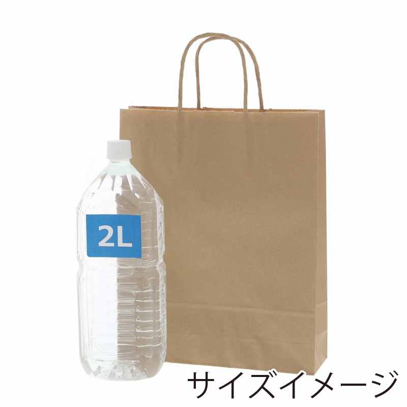 HEIKO 紙袋 25チャームバッグ 25CB MS1 未晒無地 50枚/袋
