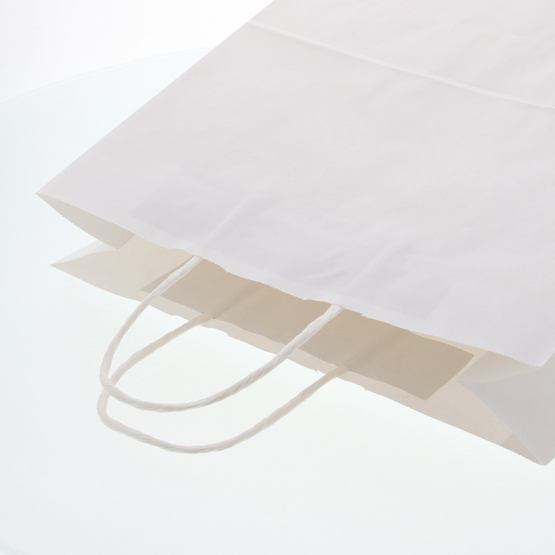 HEIKO 紙袋 25チャームバッグ 25CB 3才 E 晒白無地 50枚/袋