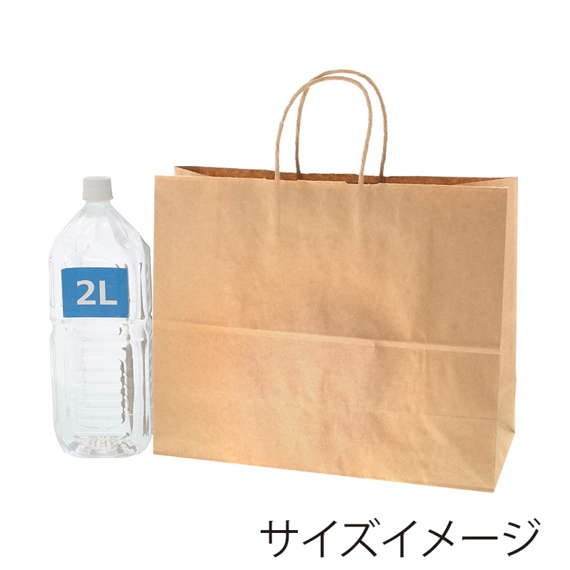 HEIKO 手提げ紙袋 25チャームバッグ 38-3 未晒無地 50枚/袋