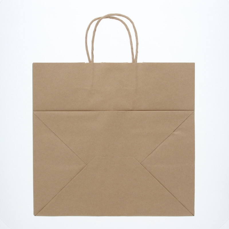 HEIKO 紙袋 25チャームバッグ 25CB 34-1 未晒無地100g 50枚/袋