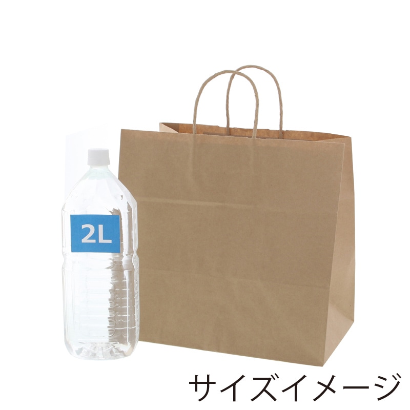 HEIKO 紙袋 25チャームバッグ 25CB 34-1 未晒無地100g 50枚/袋