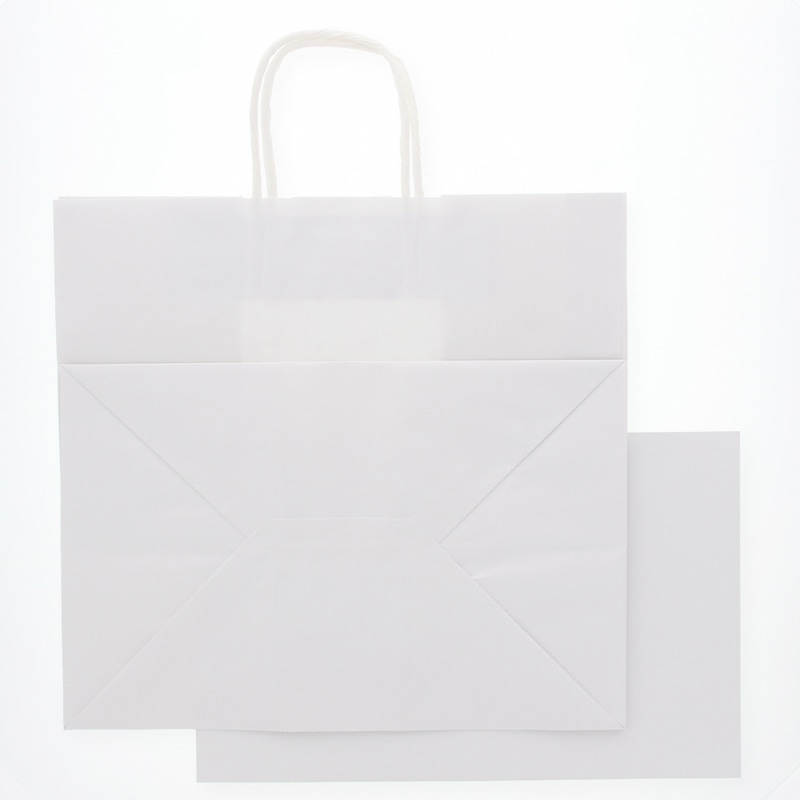 HEIKO 紙袋 25チャームバッグ 25CB 34-1 底ボール入 晒白無地 25枚/袋