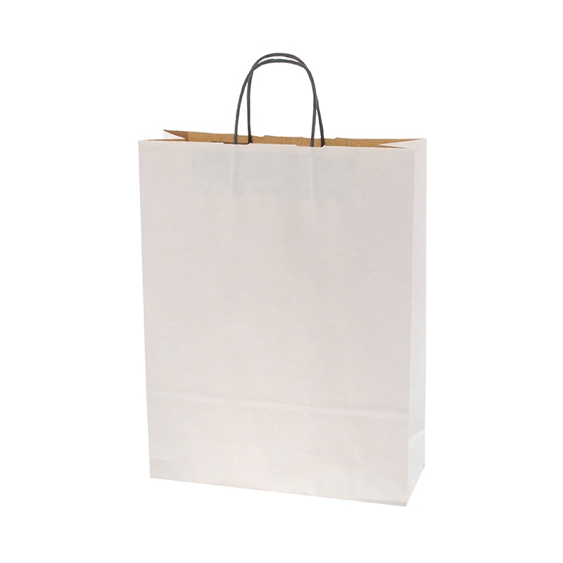 HEIKO 手提げ紙袋 25チャームバッグ 2才 エコデュオWH 50枚/袋