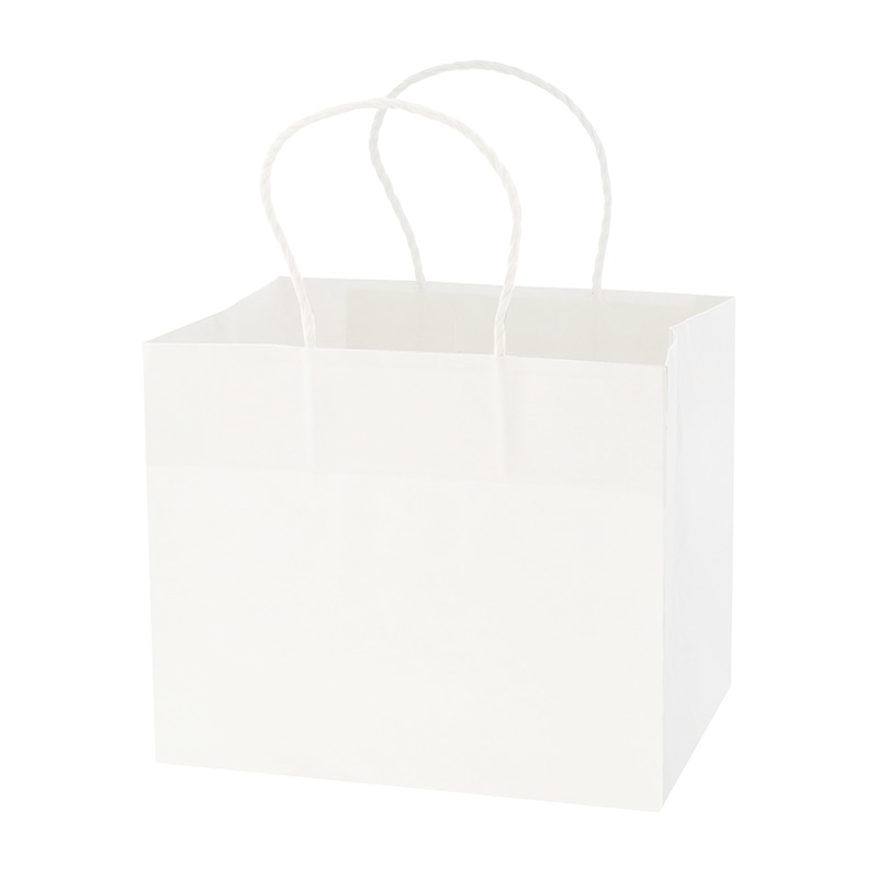 HEIKO 紙袋 Pスムースバッグ 25-19 白無地 25枚/袋