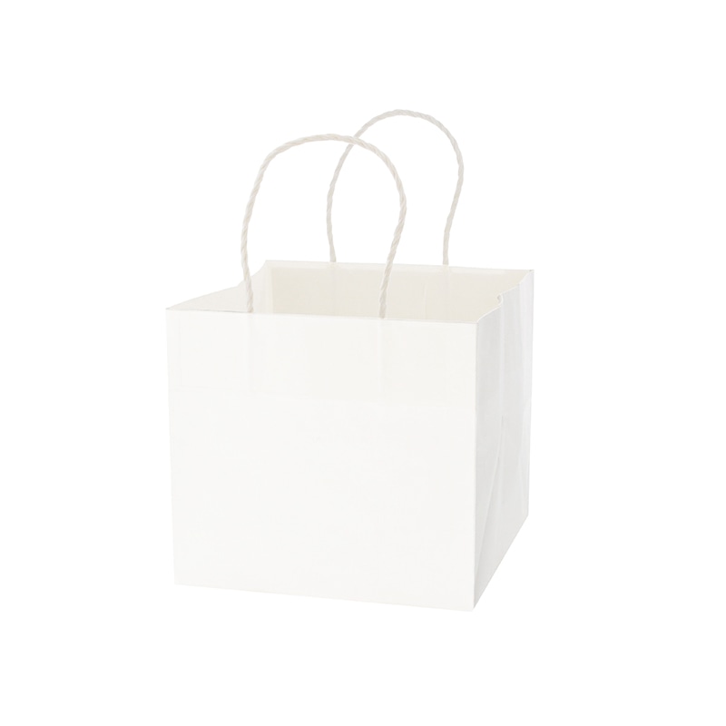 HEIKO 紙袋 Pスムースバッグ 22-22 白無地 25枚/袋