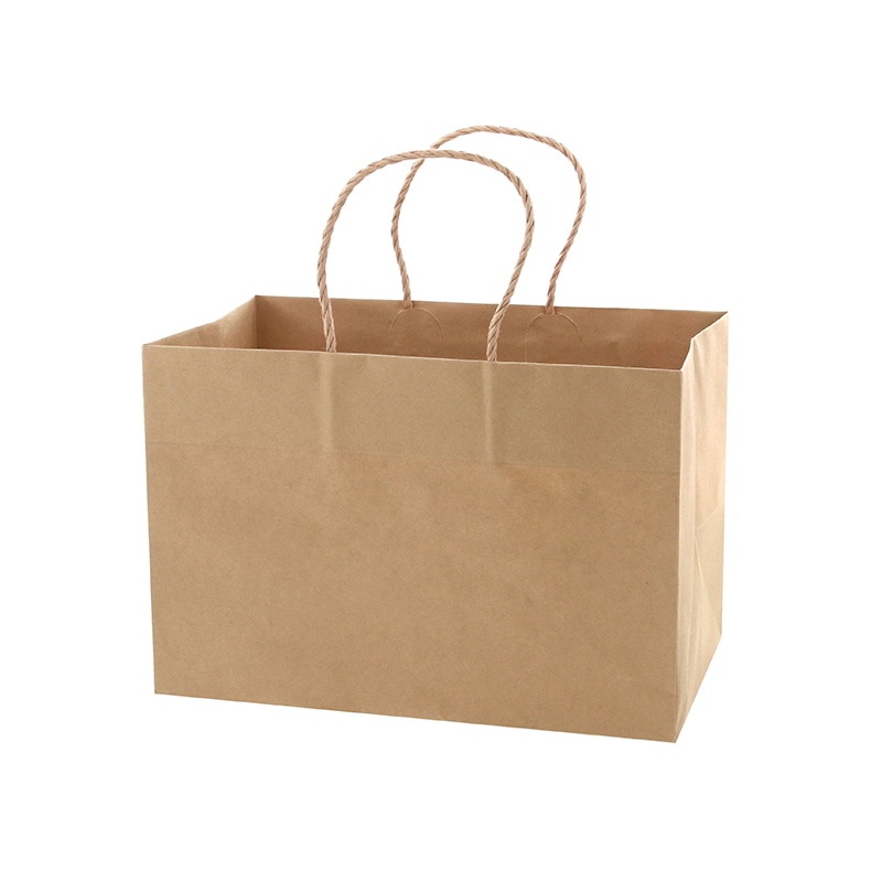 HEIKO 紙袋 Pスムースバッグ 31-19 未晒無地 25枚/袋