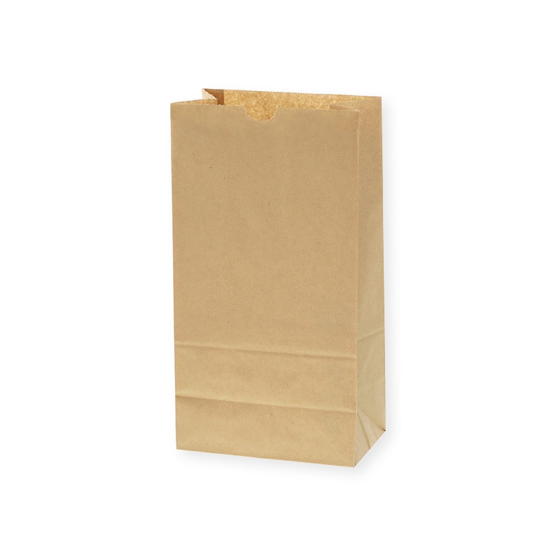 HEIKO 紙袋 角底袋 No.6 未晒無地 100枚/袋