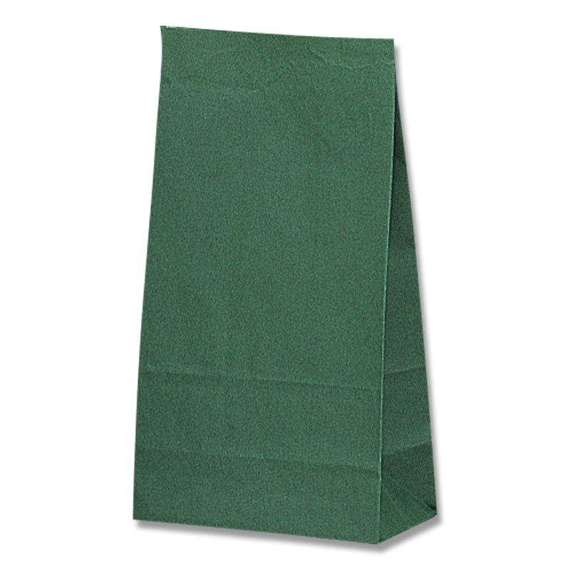 HEIKO 紙袋 角底袋 No.6 未晒無地グリーン 100枚/袋
