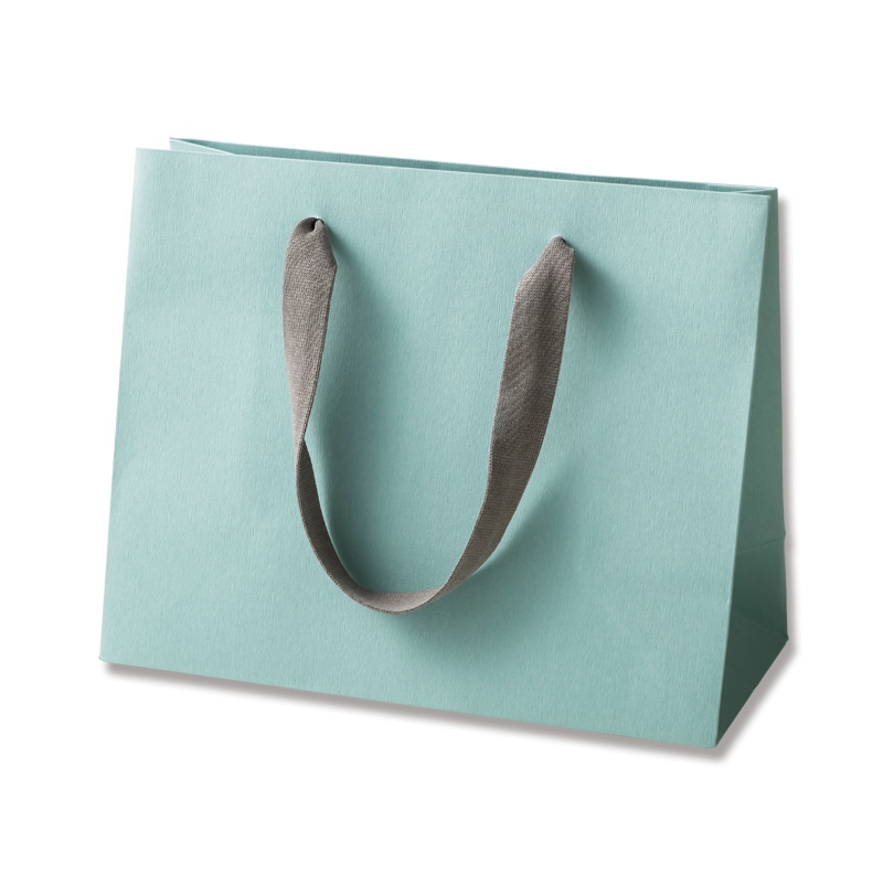HEIKO 手提げ紙袋 カラーハンドルバッグ LW アクアグリーン 5枚/袋