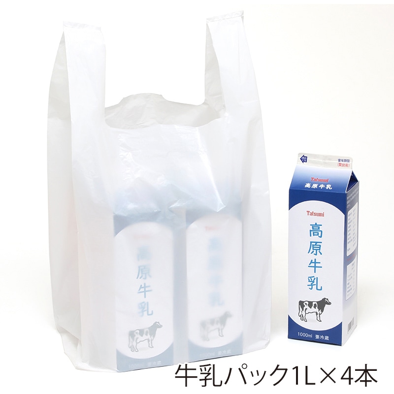 HEIKO レジ袋 ニューハンド ハンガータイプ No.30(30号) 100枚/袋