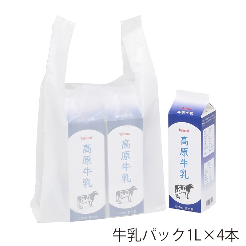 HEIKO レジ袋 再生原料ハンドハイパー L 100枚/袋