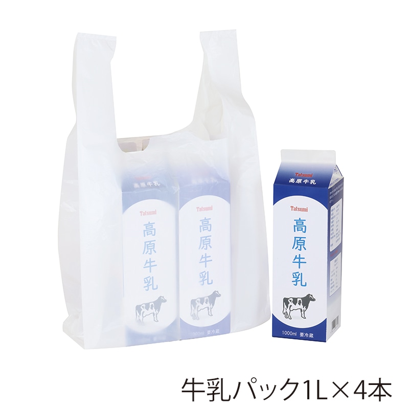HEIKO レジ袋 再生原料エコハンドハイパー L 100枚/袋