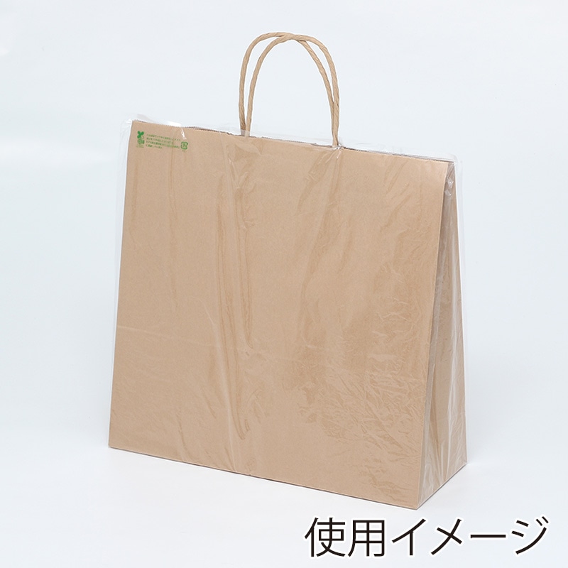 HEIKO ポリ袋 バイオレイニーポリ 34-41 (3才用) 50枚/袋