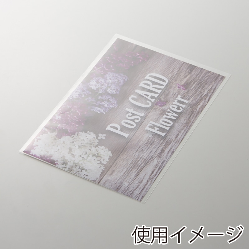 HEIKO OPP袋 クリスタルパック S-ハガキ用 (テープなし) 100枚/袋