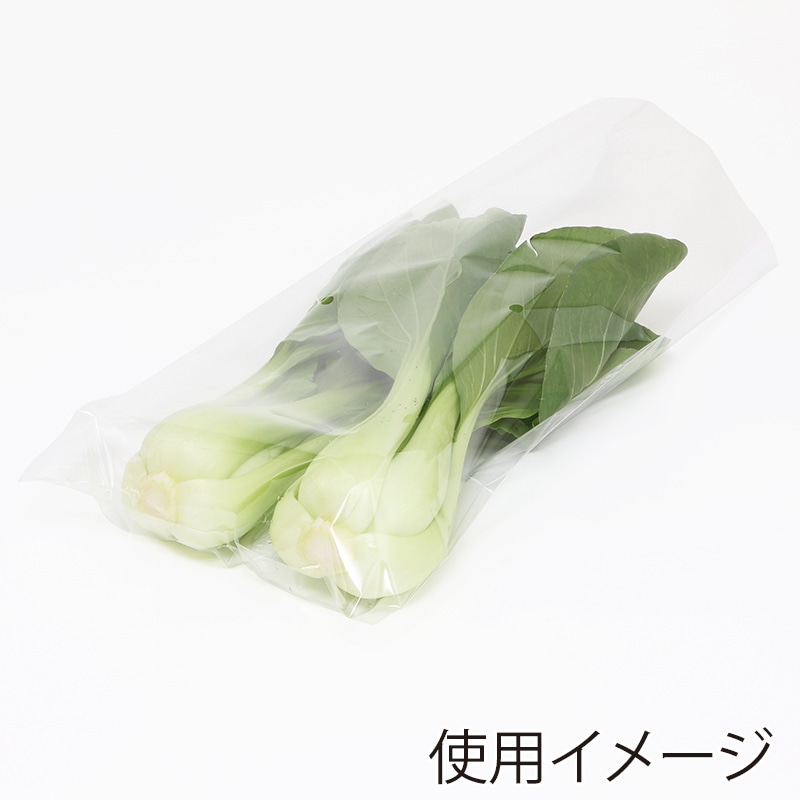 HEIKO ポリ袋 ボードンパック 穴ありタイプ 厚み0.02mm No.11L 100枚/袋