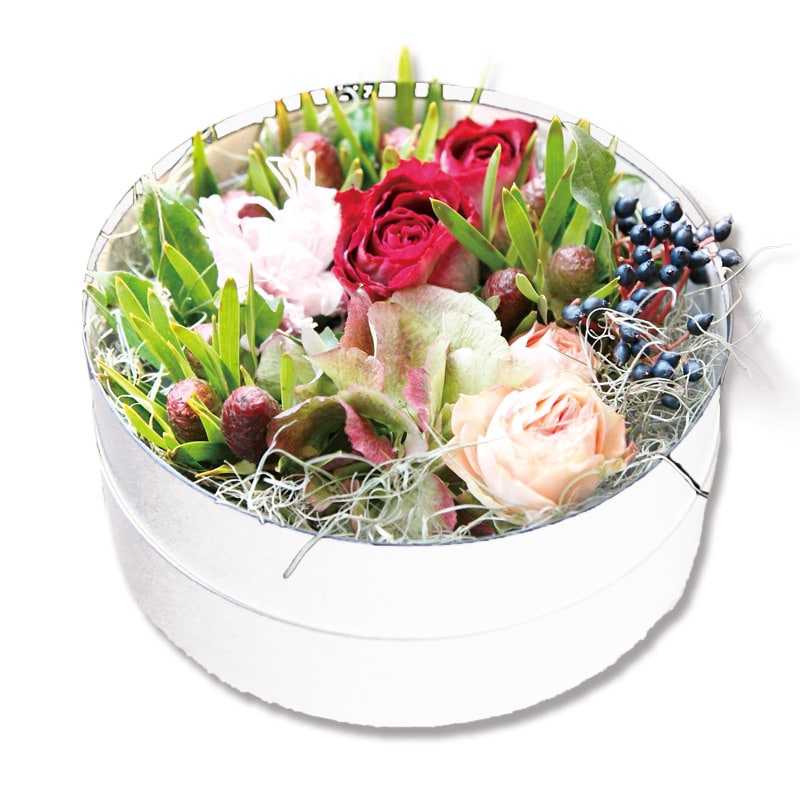 HEIKO 箱 サークルボックス 150-123 M ホワイト 1個