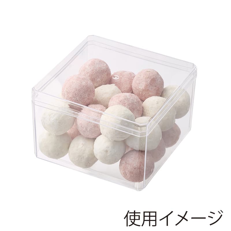 HEIKO PS食品ケース 蓋付 角型 480CC 10個/袋