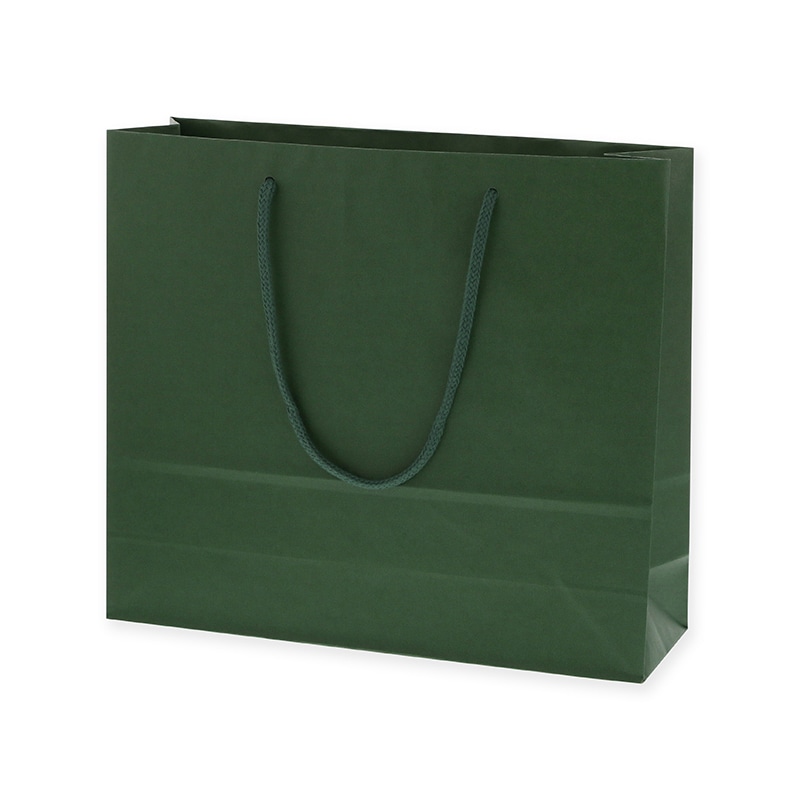 HEIKO 紙袋 カラーチャームバッグ 3才 グリーン 10枚/袋