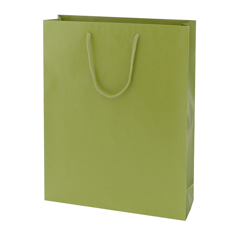 HEIKO 紙袋 カラーチャームバッグ 2才 ヒワ 10枚/袋