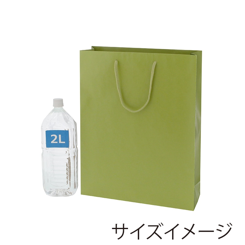 HEIKO 紙袋 カラーチャームバッグ 2才 ヒワ 10枚/袋