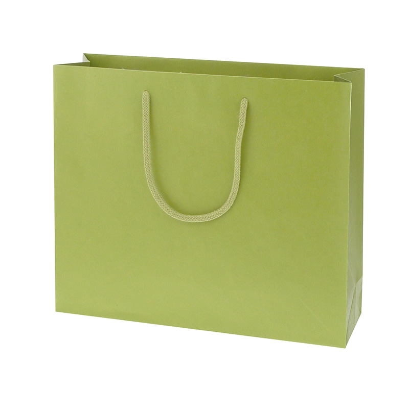 HEIKO 紙袋 カラーチャームバッグ 3才 ヒワ 10枚/袋