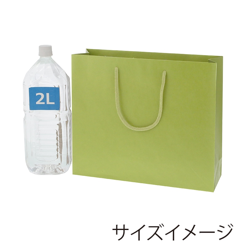 HEIKO 紙袋 カラーチャームバッグ 3才 ヒワ 10枚/袋