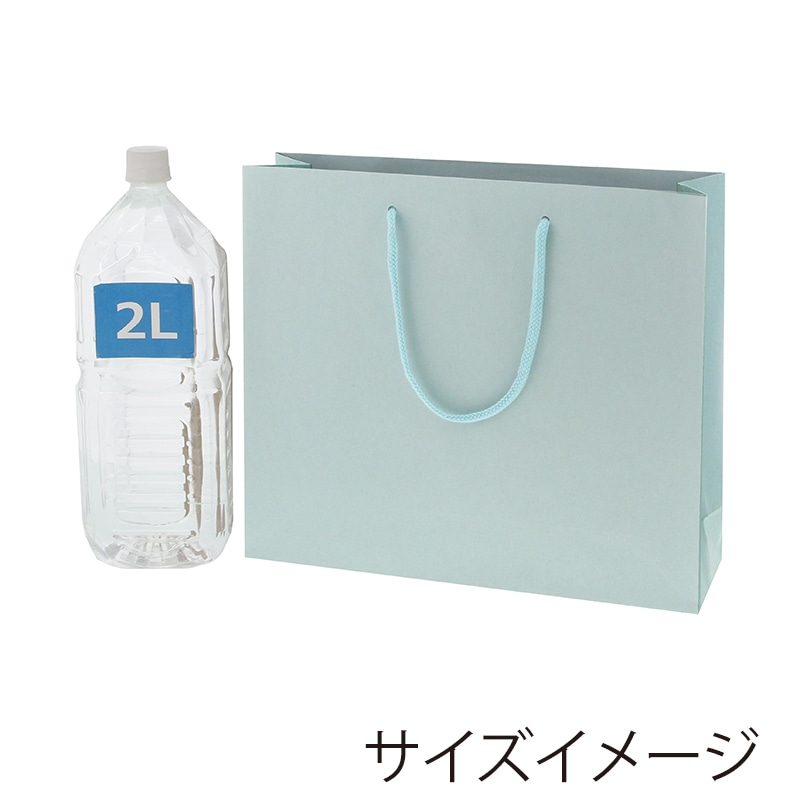 HEIKO 紙袋 カラーチャームバッグ 3才 ミズ 10枚/袋