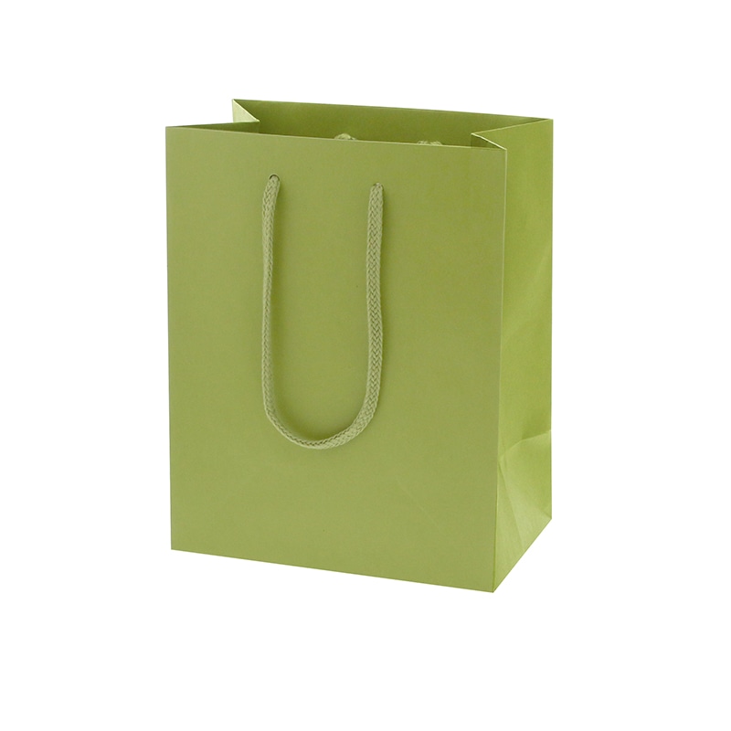 HEIKO 紙袋 カラーチャームバッグ 20-12 ヒワ 10枚/袋