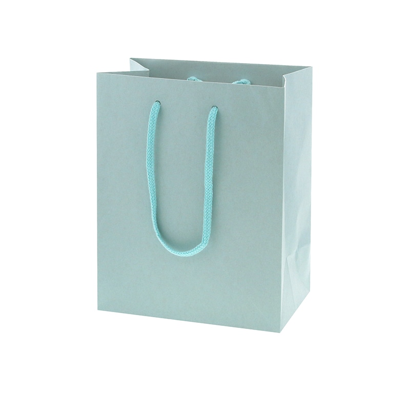 HEIKO 紙袋 カラーチャームバッグ 20-12 ミズ 10枚/袋