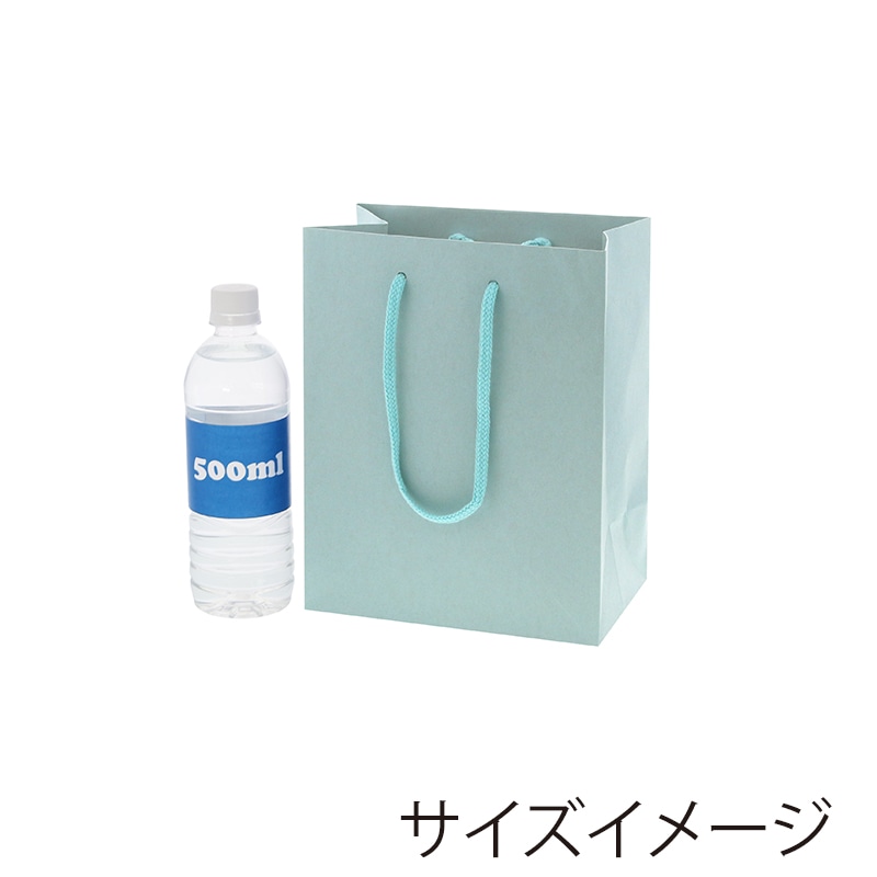 HEIKO 紙袋 カラーチャームバッグ 20-12 ミズ 10枚/袋
