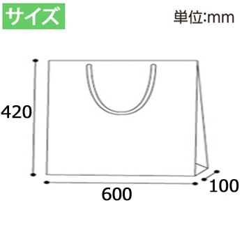 HEIKO 不織布手提げ袋 ファッションバッグ F-LL 黒 10枚/袋