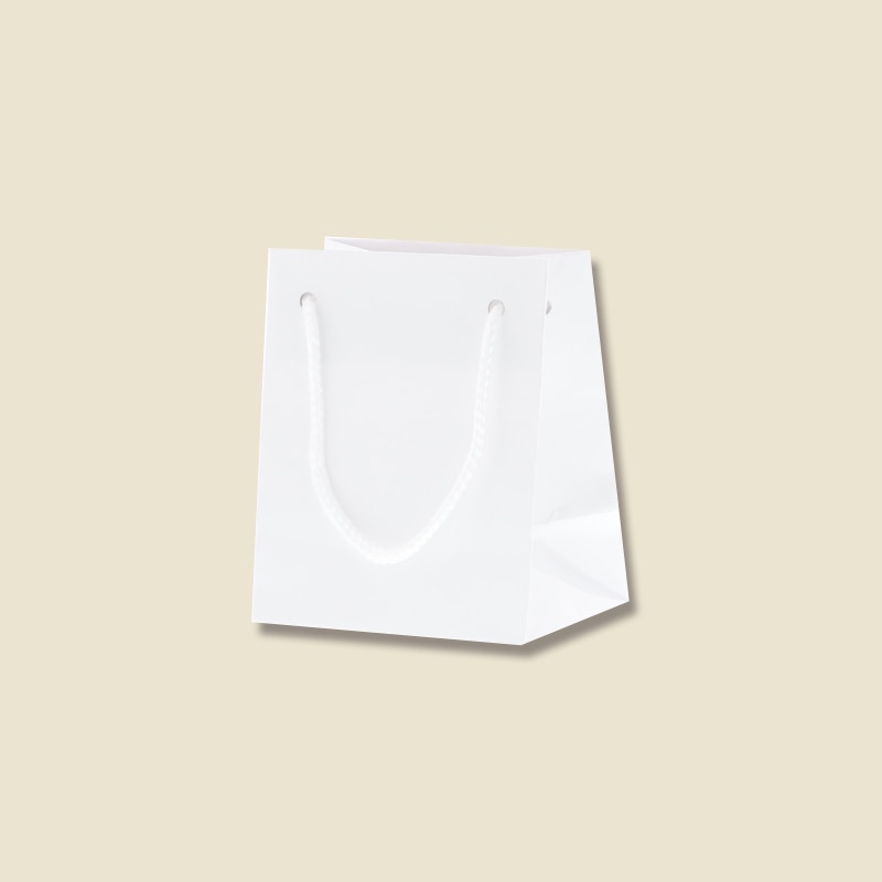 HEIKO 紙袋 ブライトバッグ T-5 白 10枚/袋