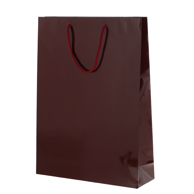 HEIKO 紙袋 ブライトバッグ G2 エンジ 10枚/袋