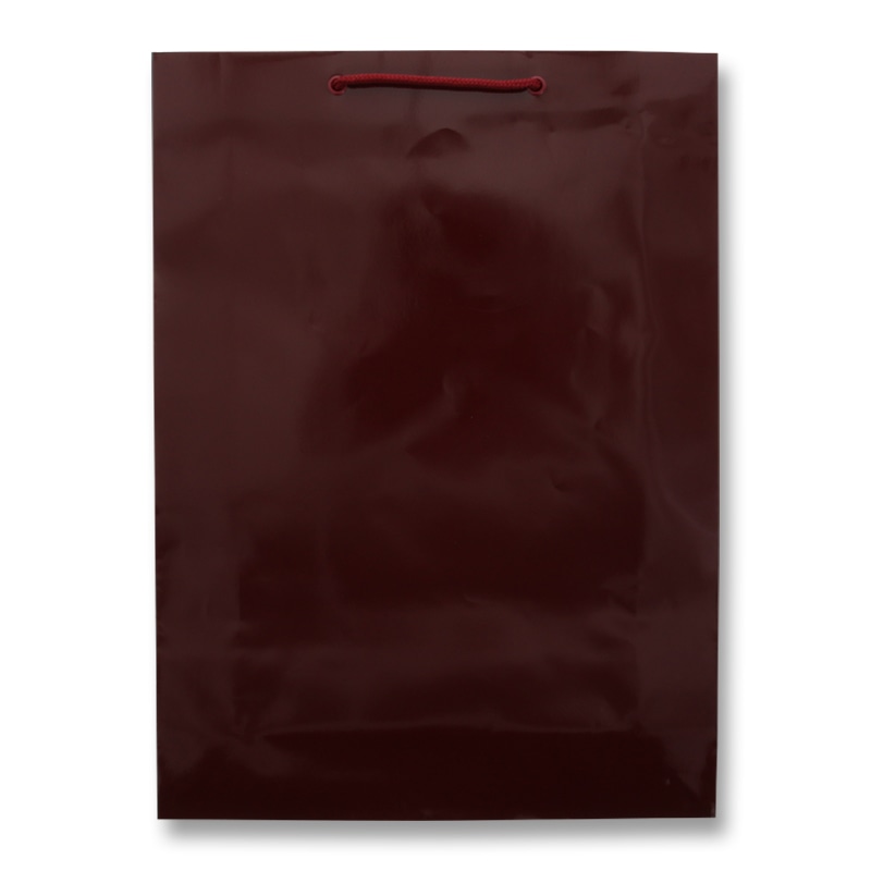 HEIKO 紙袋 ブライトバッグ G2 エンジ 10枚/袋