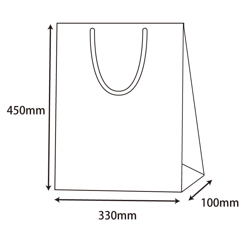 HEIKO 紙袋 ブライトバッグ G2 エンジ 10枚/袋