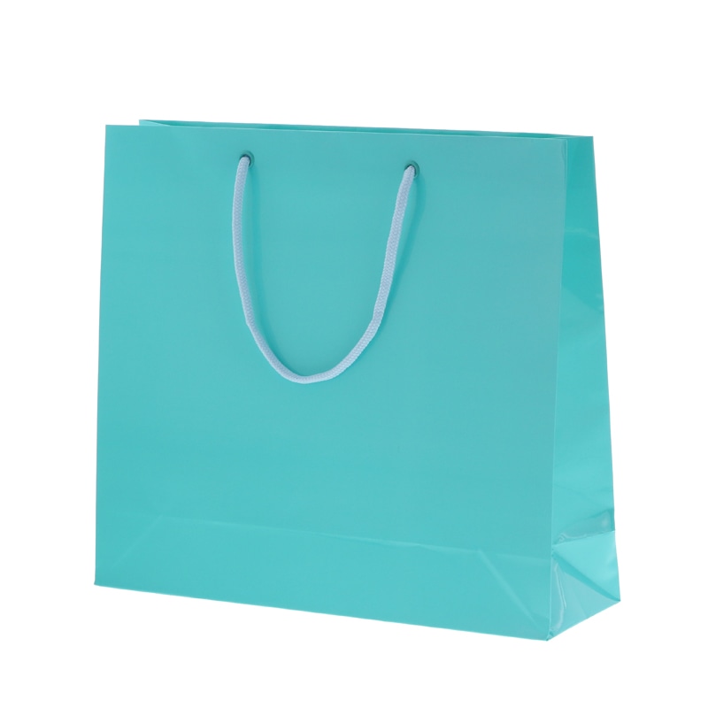 HEIKO 紙袋 ブライトバッグ GM 浅葱 10枚/袋