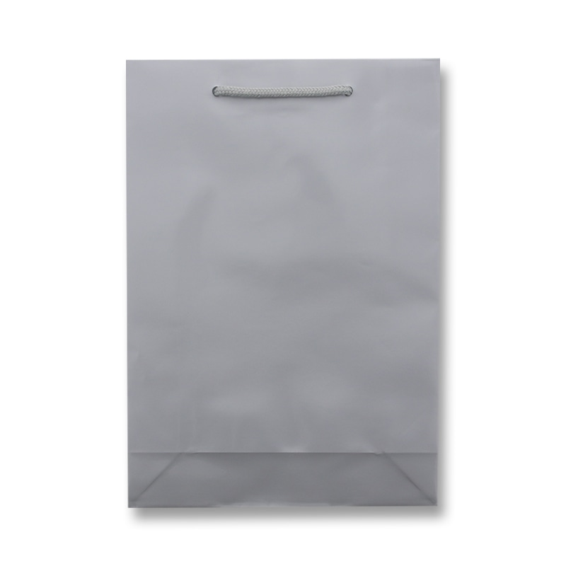 HEIKO 紙袋 ブライトバッグ SWT ギン 10枚/袋