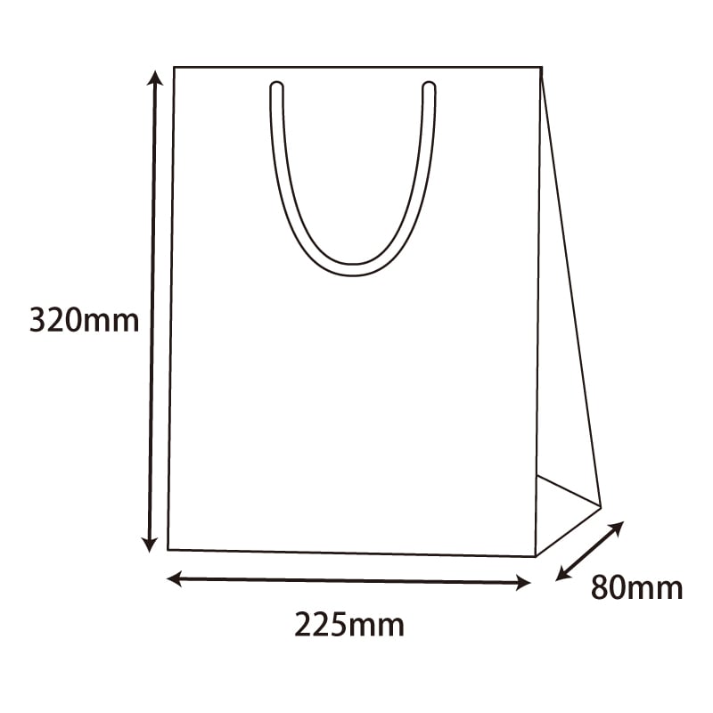 HEIKO 紙袋 ブライトバッグ SWT ギン 10枚/袋