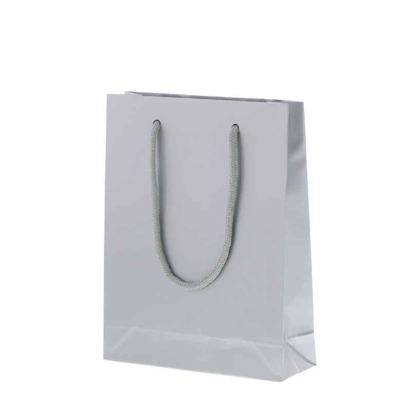 HEIKO 紙袋 ブライトバッグ MM ギン 10枚/袋